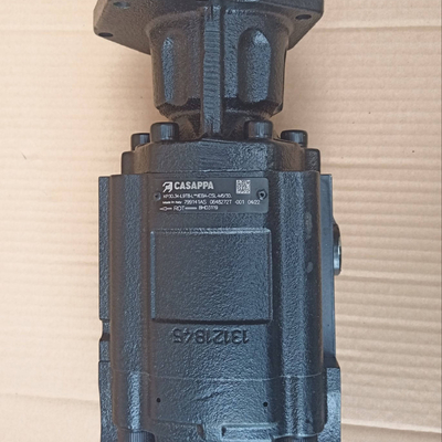 Alta garantia Dieci BHD3119 bomba hidráulica Casappa 799141AS